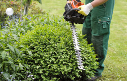 Artisan pour de l'entretien d'espaces verts