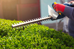 Artisan pour un entretien de jardin
