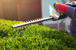 Artisan pour un entretien de jardin  