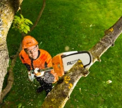 Travaux paysagers dans un jardin   
